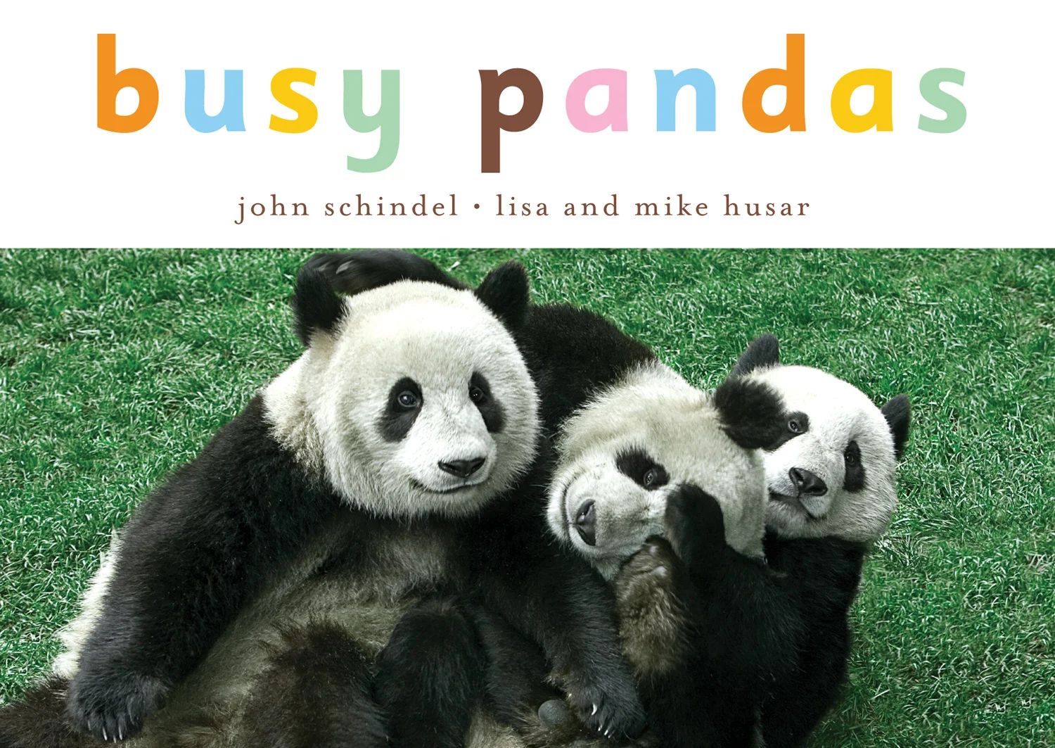 Busy-Pandas-cvr.jpg