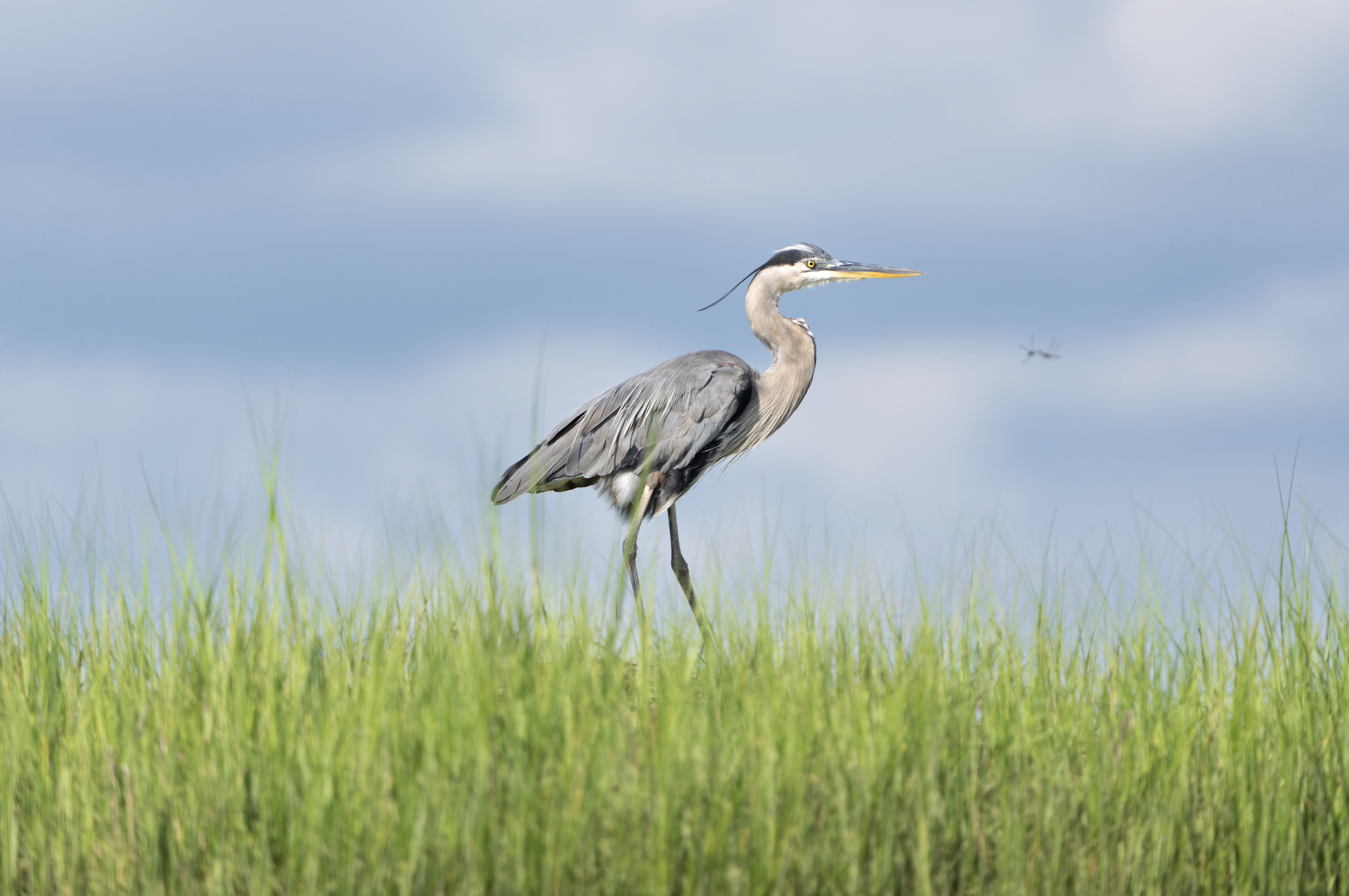 Screenshot 2025-11-22 at 9.43.31 PM.png