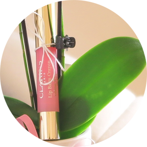 24-Gifts-Clarins Lip Balm Crayon.png