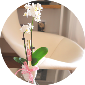 The perfect birthday present