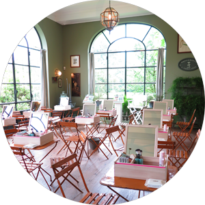 green-make-up school.png