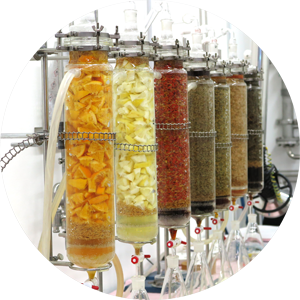 excences-making of.png