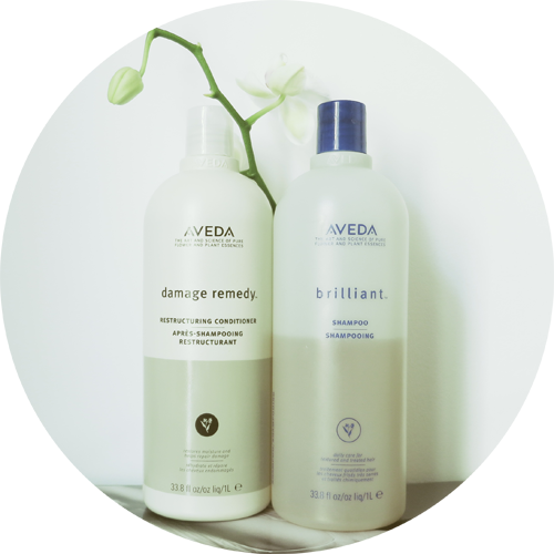 Brilliantly Big: Aveda Litership Campaign