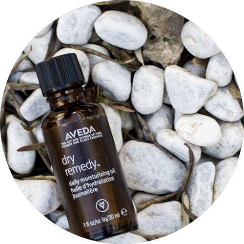 The hair savior : Aveda Dry Remedy