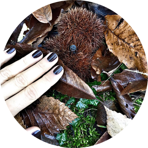 The only nail polish shade that elegantly conquer the power of back: Chàtaigne by Chanel