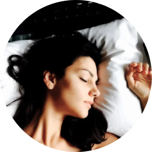 The Silky Beauty Sleep