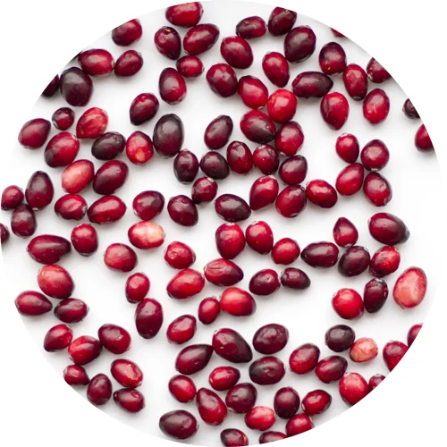 Cranberry: the anti-oxidant (and not only) super food