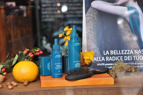 aveda pramasana scalp care the ritual 1.jpg