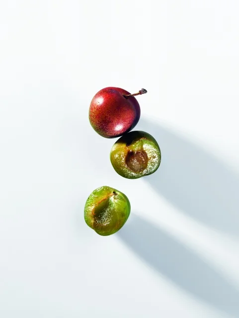 2076_20_TR_170313_Dior_Plums_033_V1_Comp_R1_V03_ANA_F39_HR.jpg