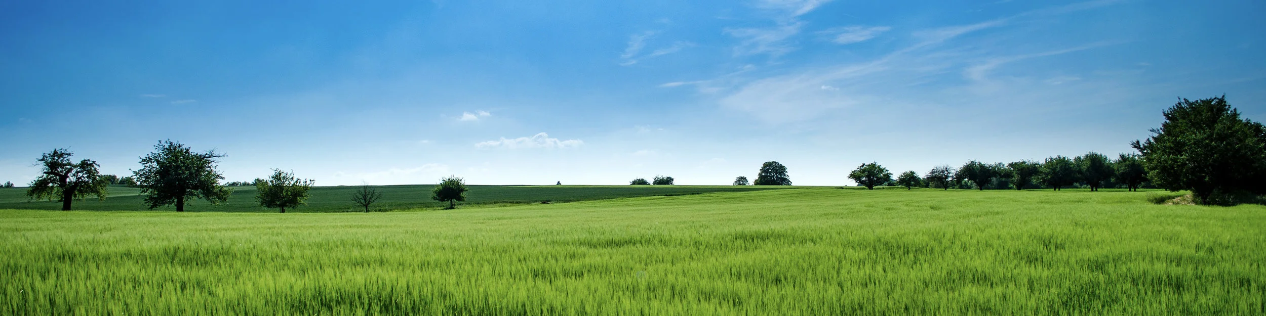 Banners02.jpg