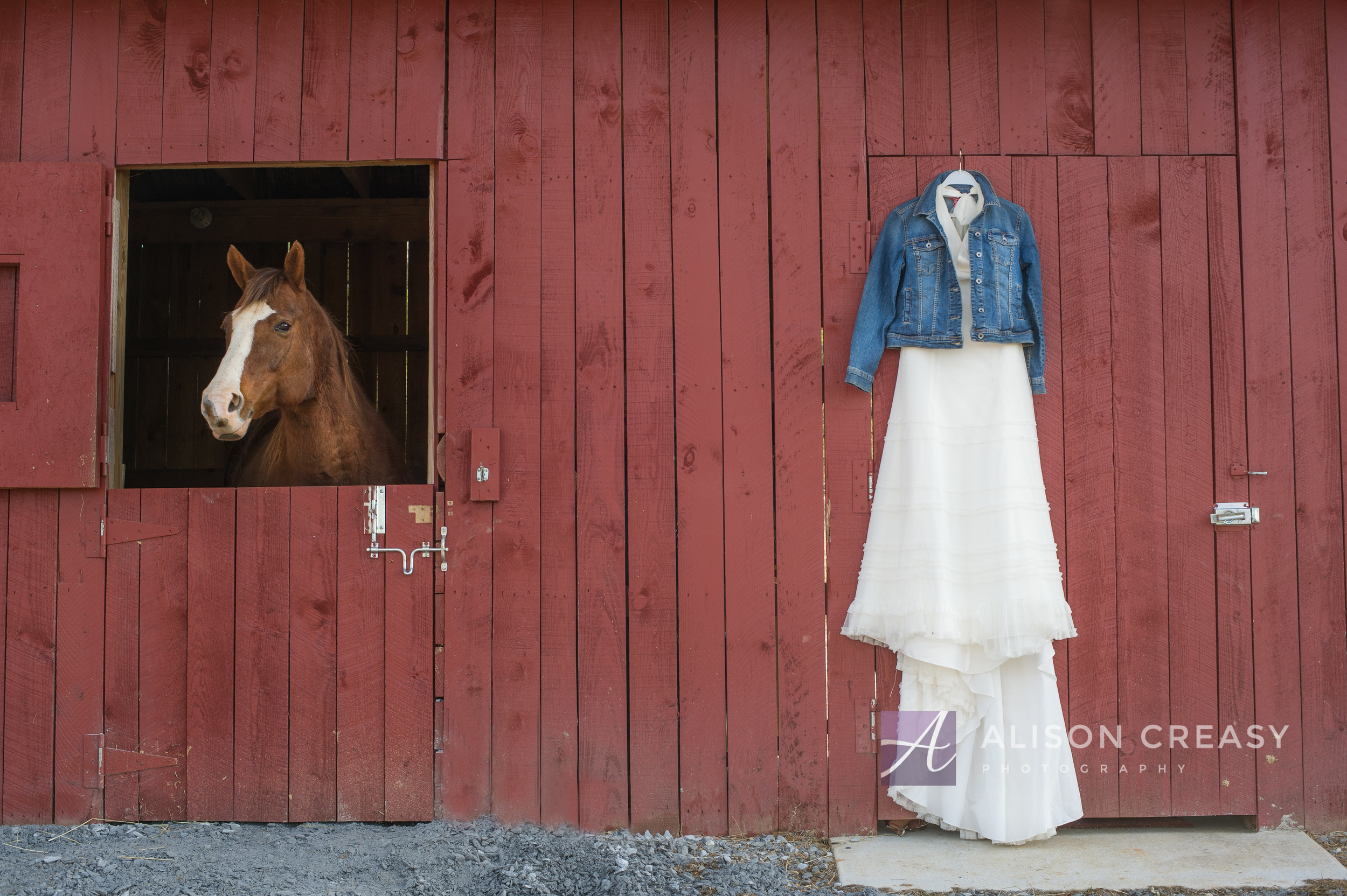 Wendy Horse Bridal-40-Edit.jpg