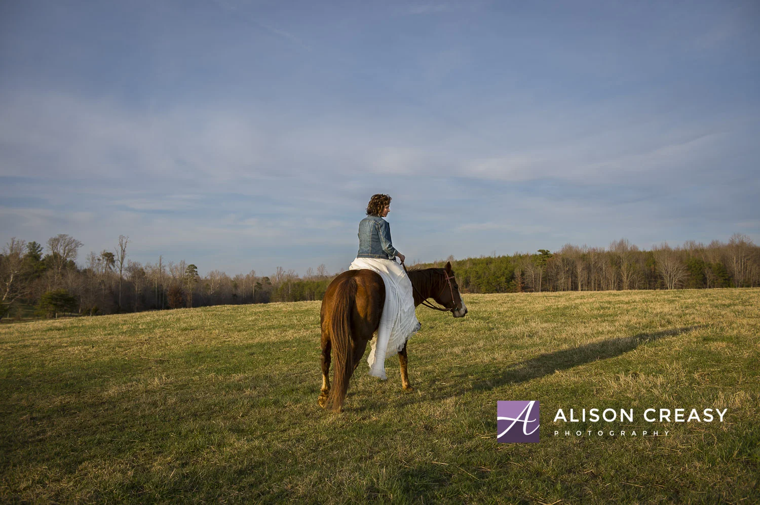 Wendy Horse Bridal-497-Edit.jpg