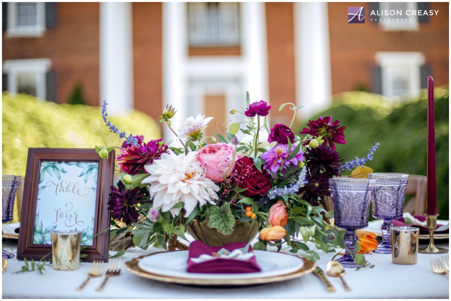 Alison Creasy Photography_West Manor_Lynchburg VA 6.jpg