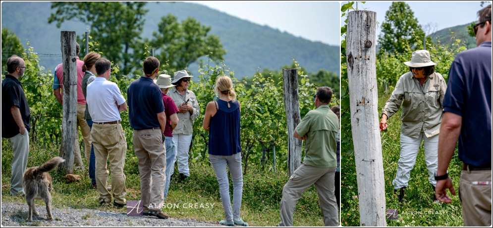 Commercial_Photography_Wine_Event_Alison_Creasy_Photogarphy_Virginia_0013.jpg