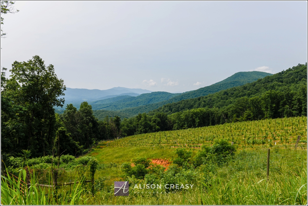 Commercial_Photography_Wine_Event_Alison_Creasy_Photogarphy_Virginia_0018.jpg