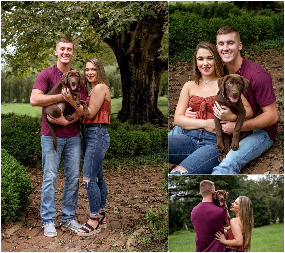 Pet_Portraits_Alison_Creasy_Photography_VA_Chocolate_Lab_Puppy_0051.jpg