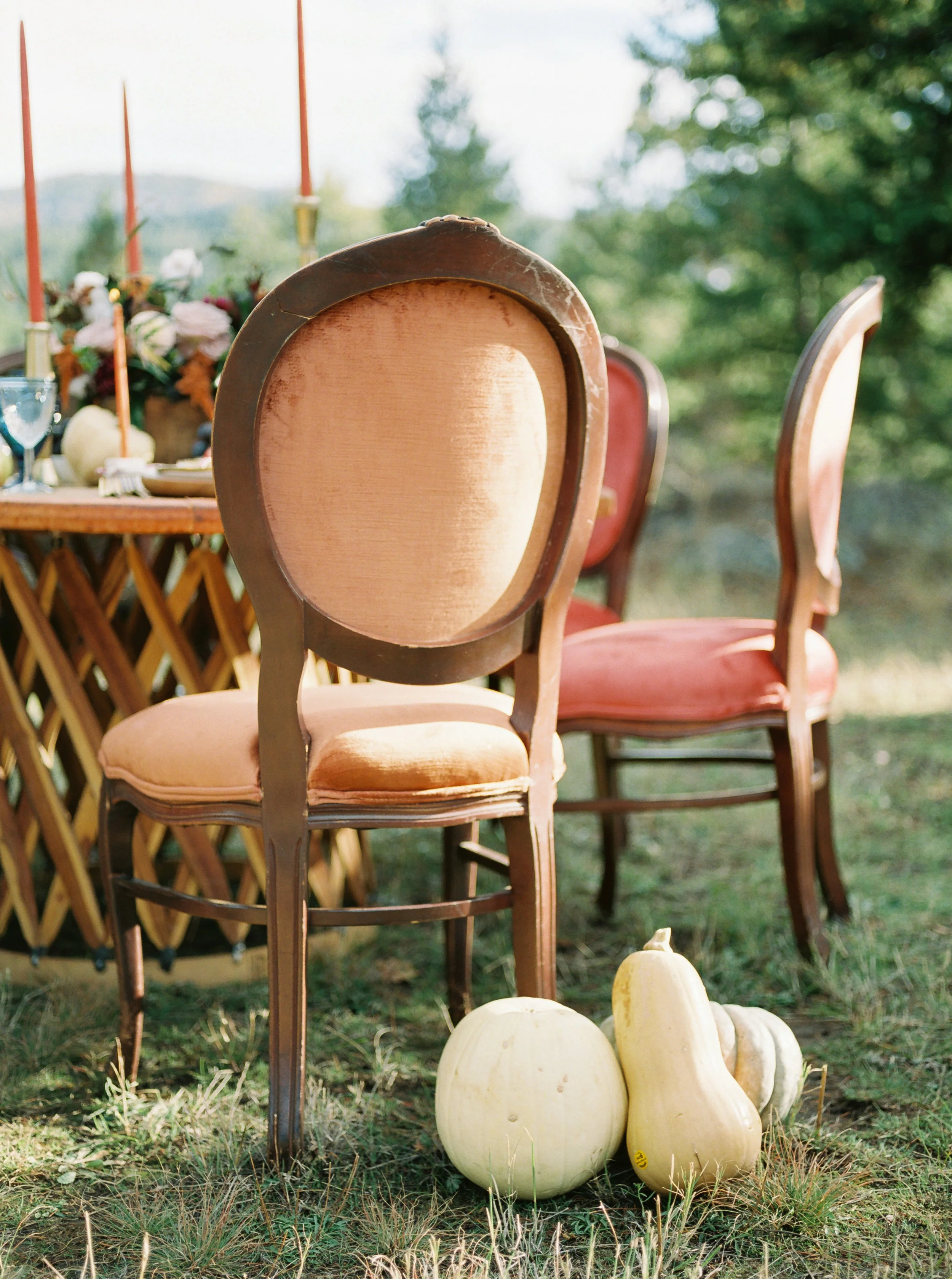 Woodlands Styled Shoot-33.jpg