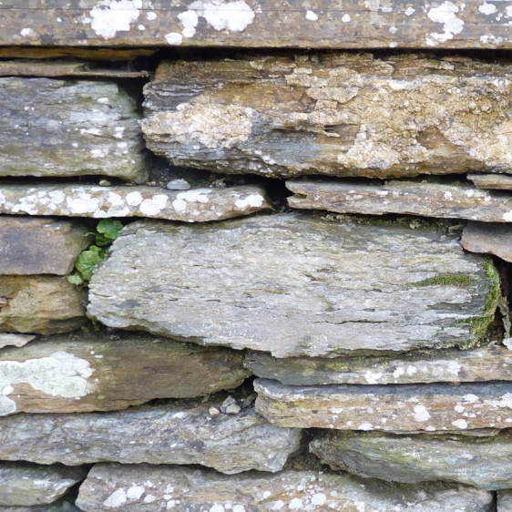 Drystone Wall, Caithness