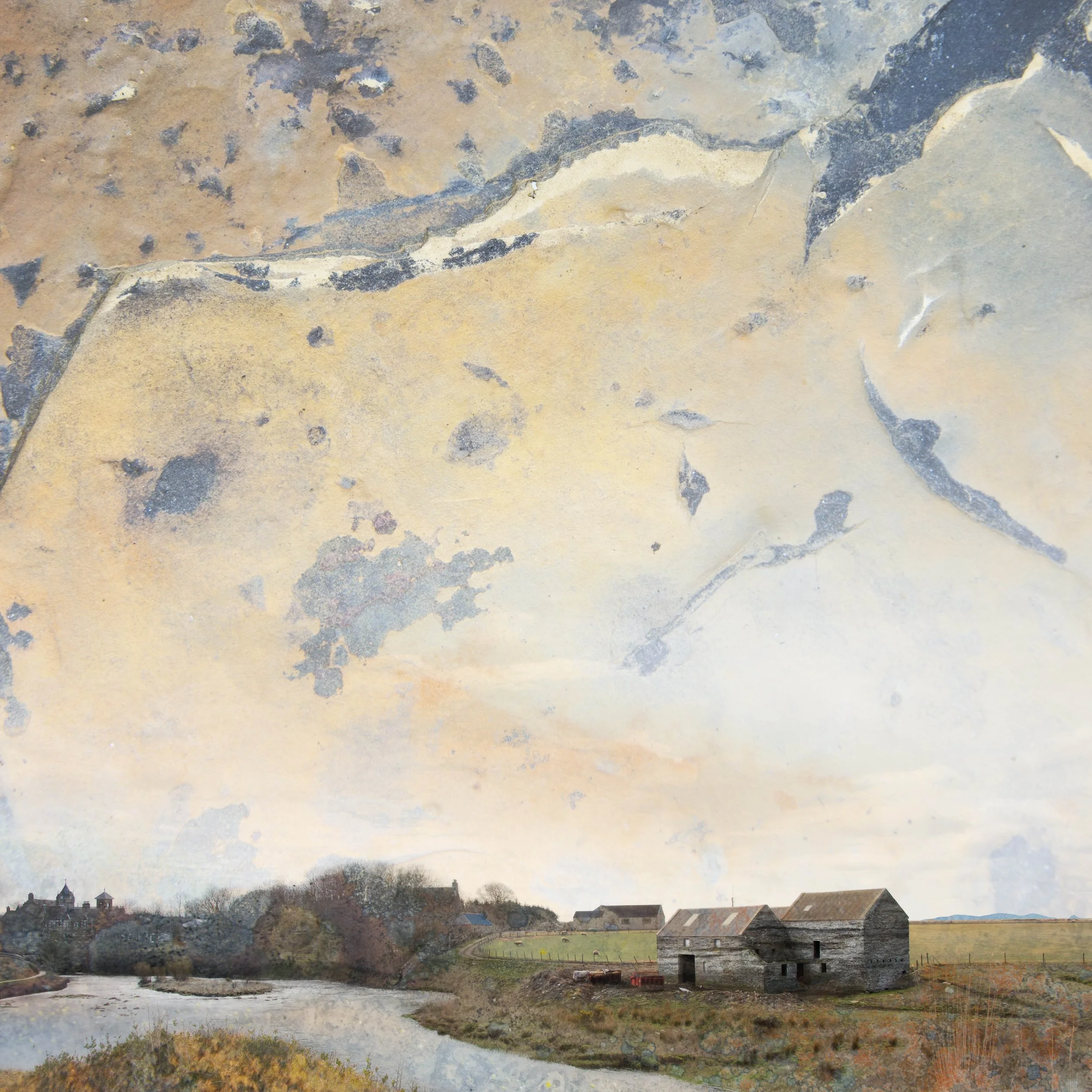 Sheila Mackay 16x16%22small.jpg