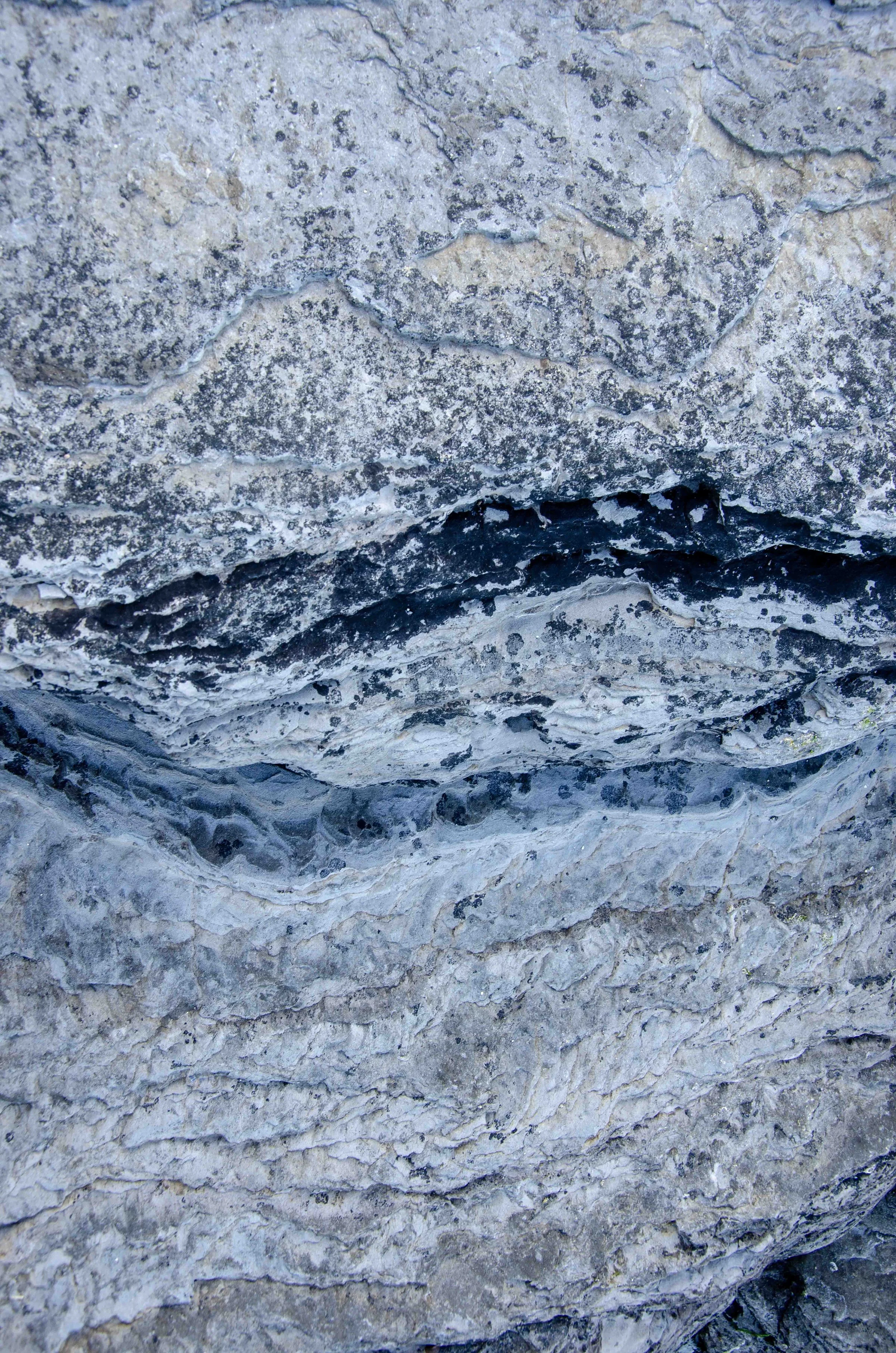 Original photo used to create 'With Resilience' by Lisa Poulsen