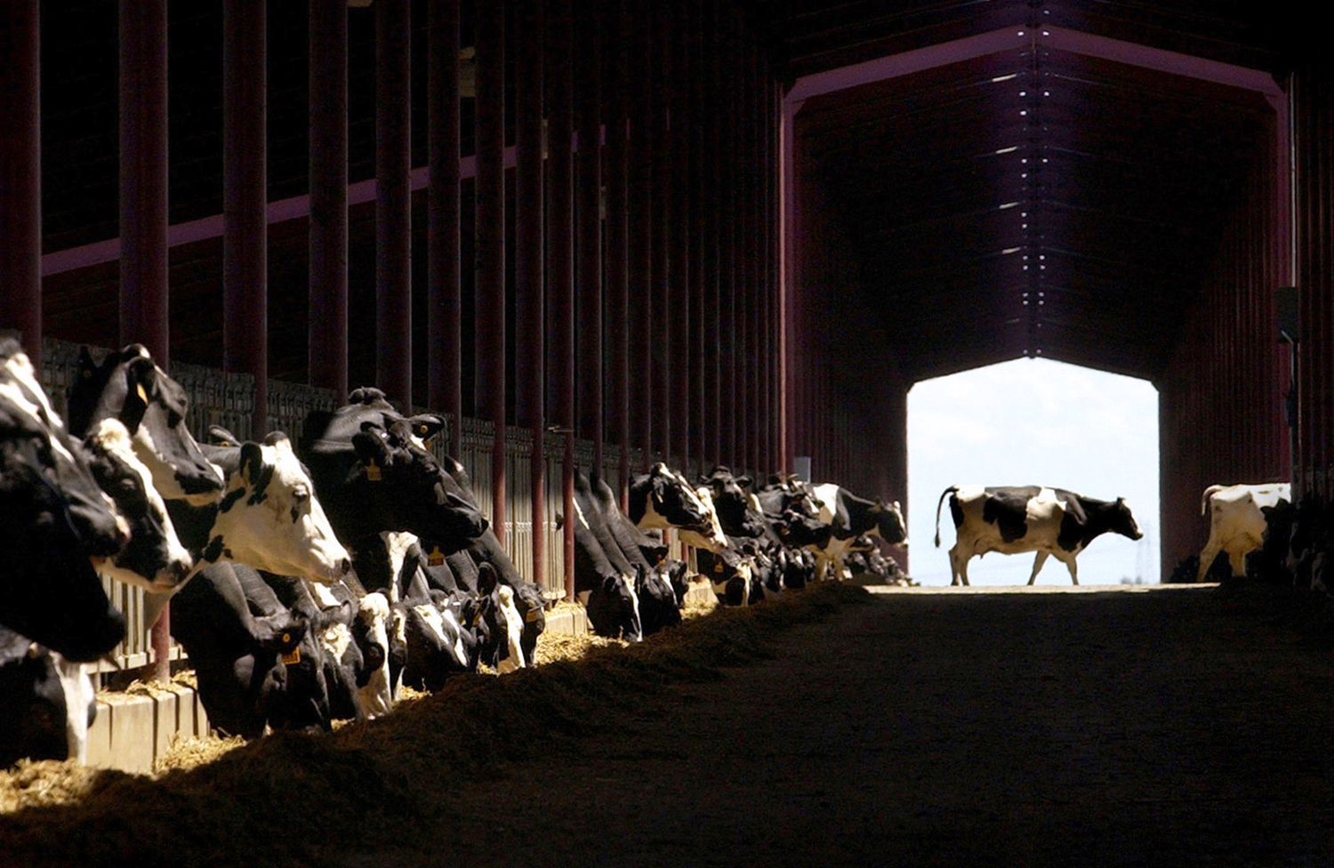  Heritage Dairy, Dixon, Calif.&nbsp; 