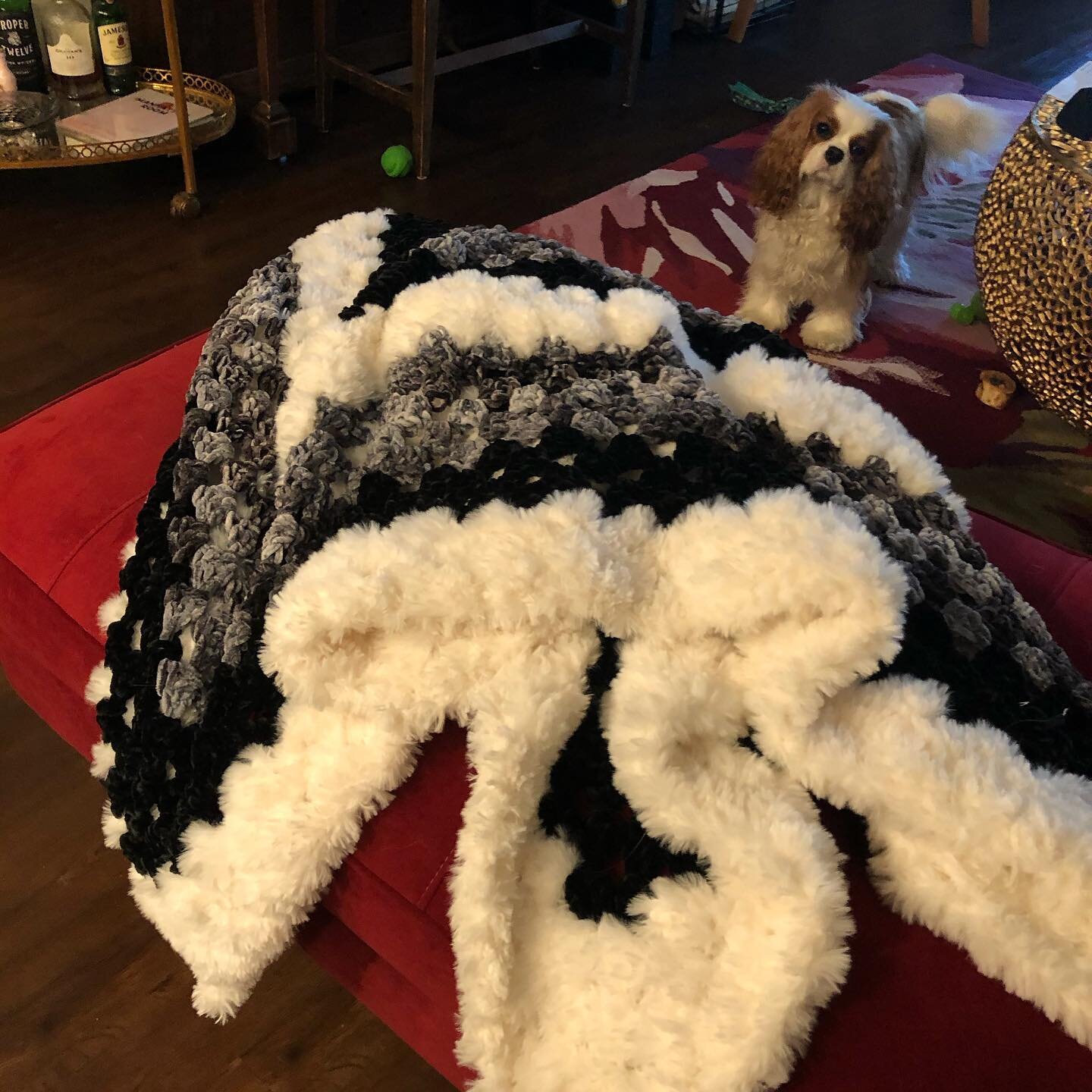 Velvet and faux fur blanket I crocheted with photo bomber... #cavalierkingcharlesspaniel #alwaysthere #cav #loveyfla