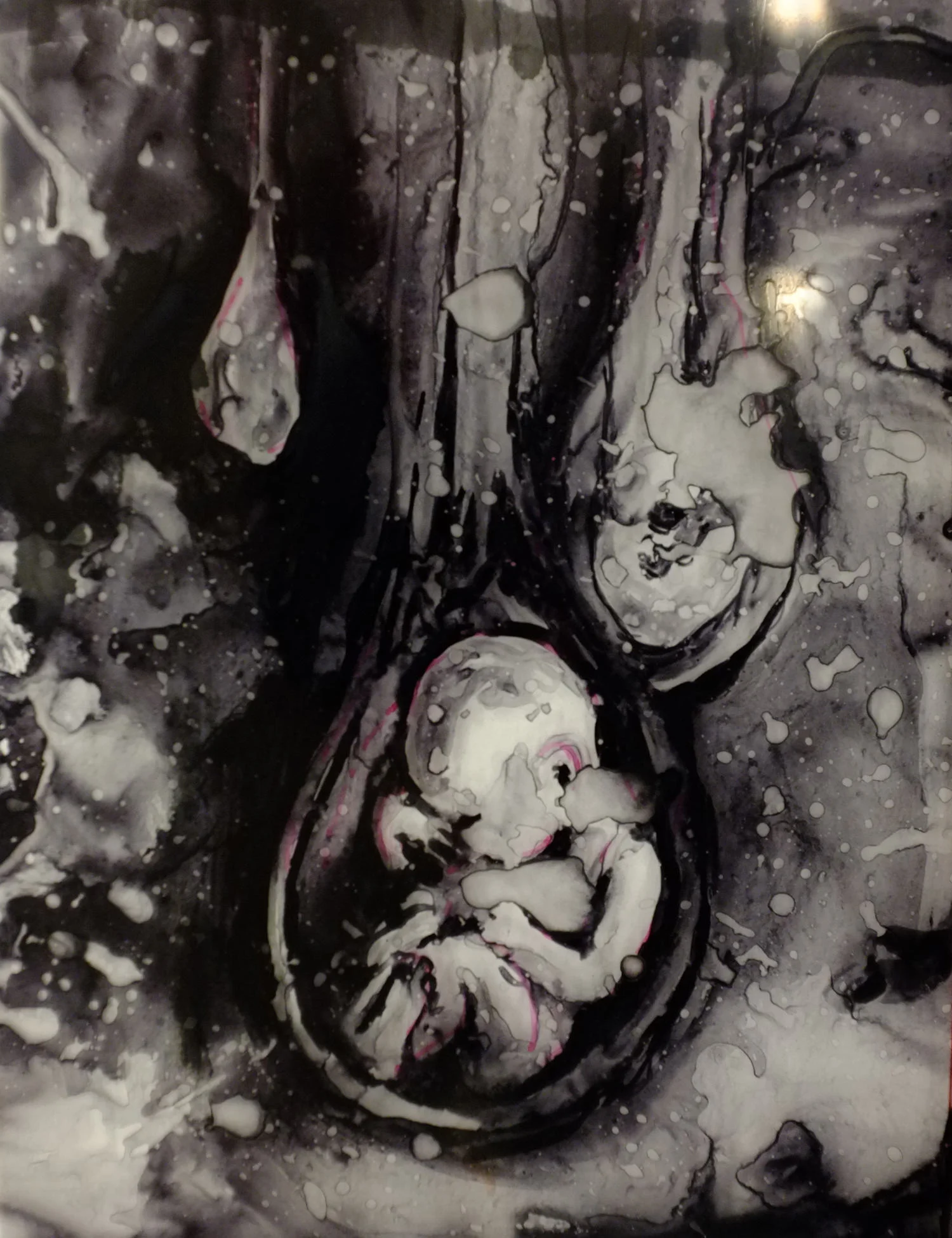 starchilds_ink_on transparent paper_franky dmiedo.jpg