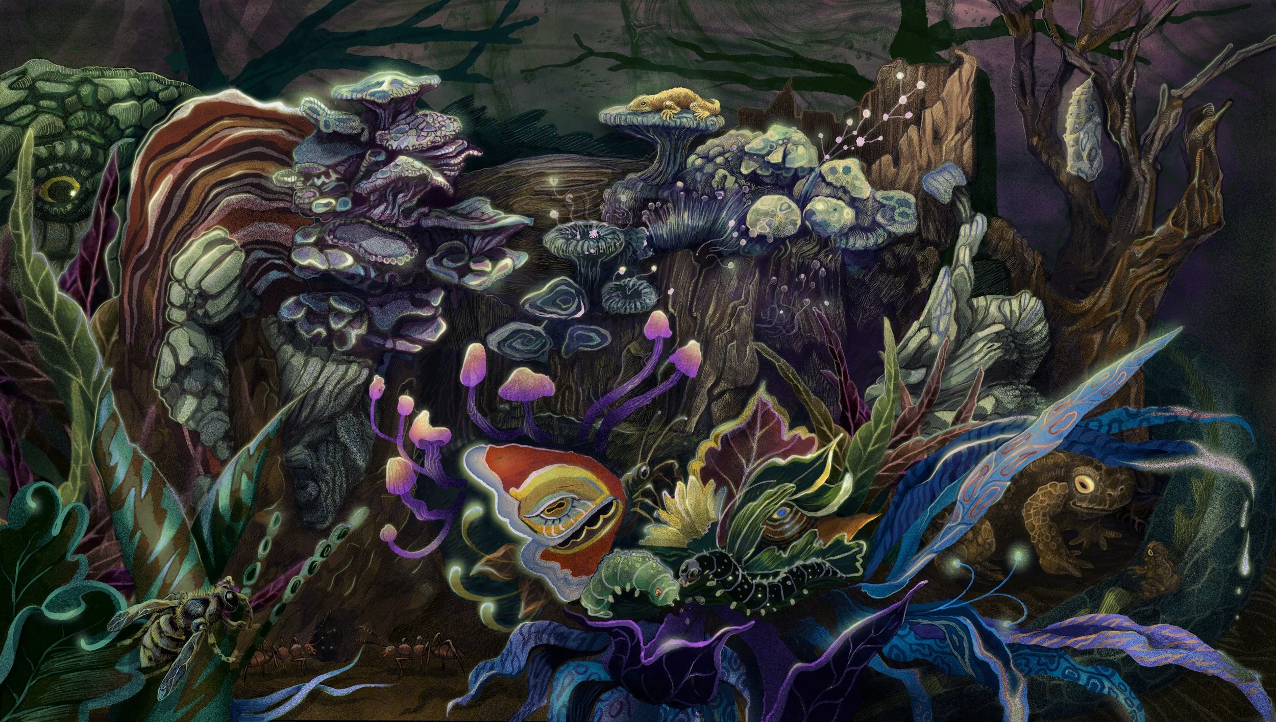 NIGHT_FUNGI DANCE.jpg