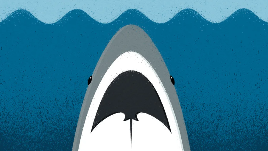 Sharks_1.jpg