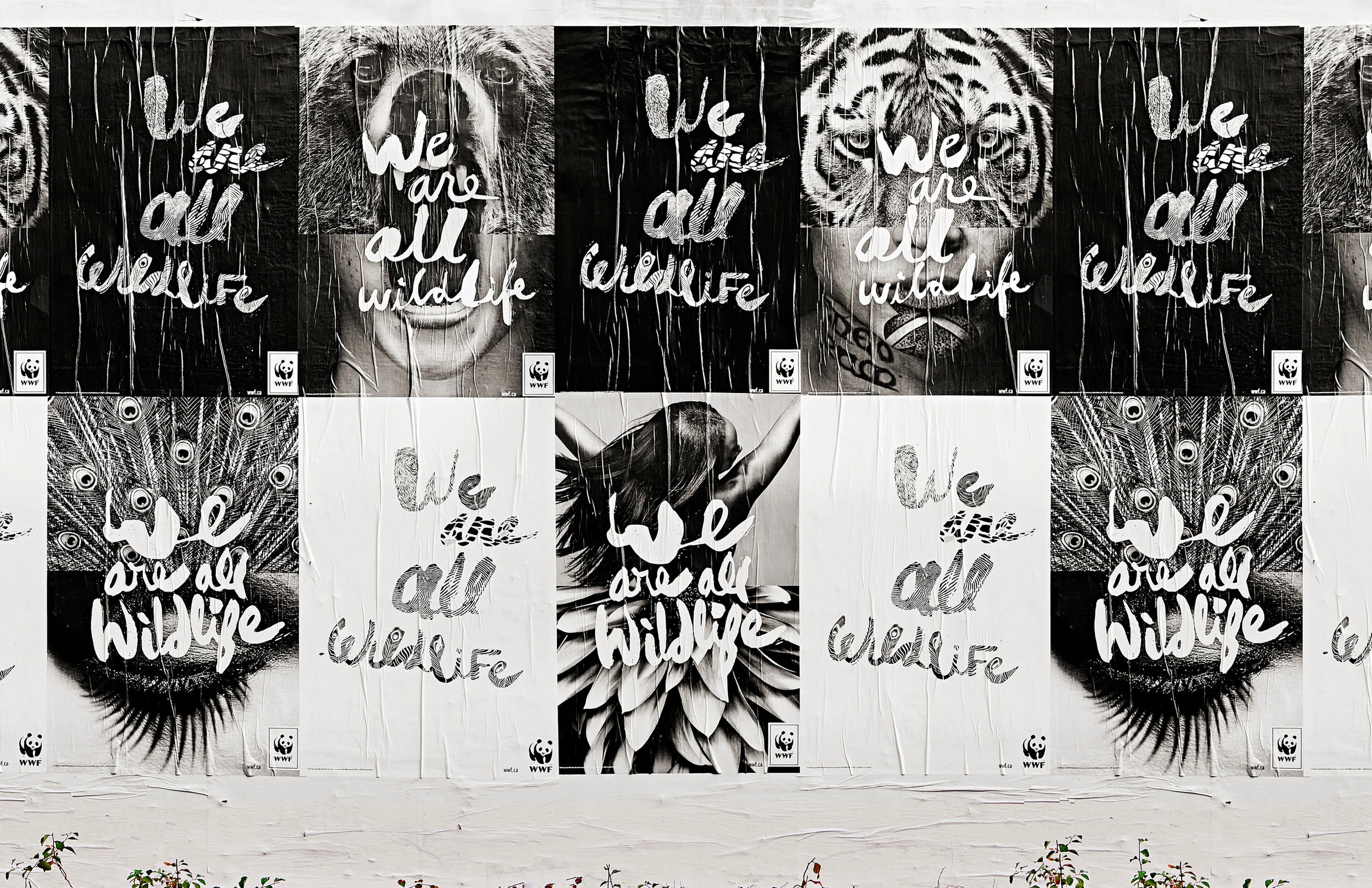 WWF_Logo:Corporate Identity_9.jpg