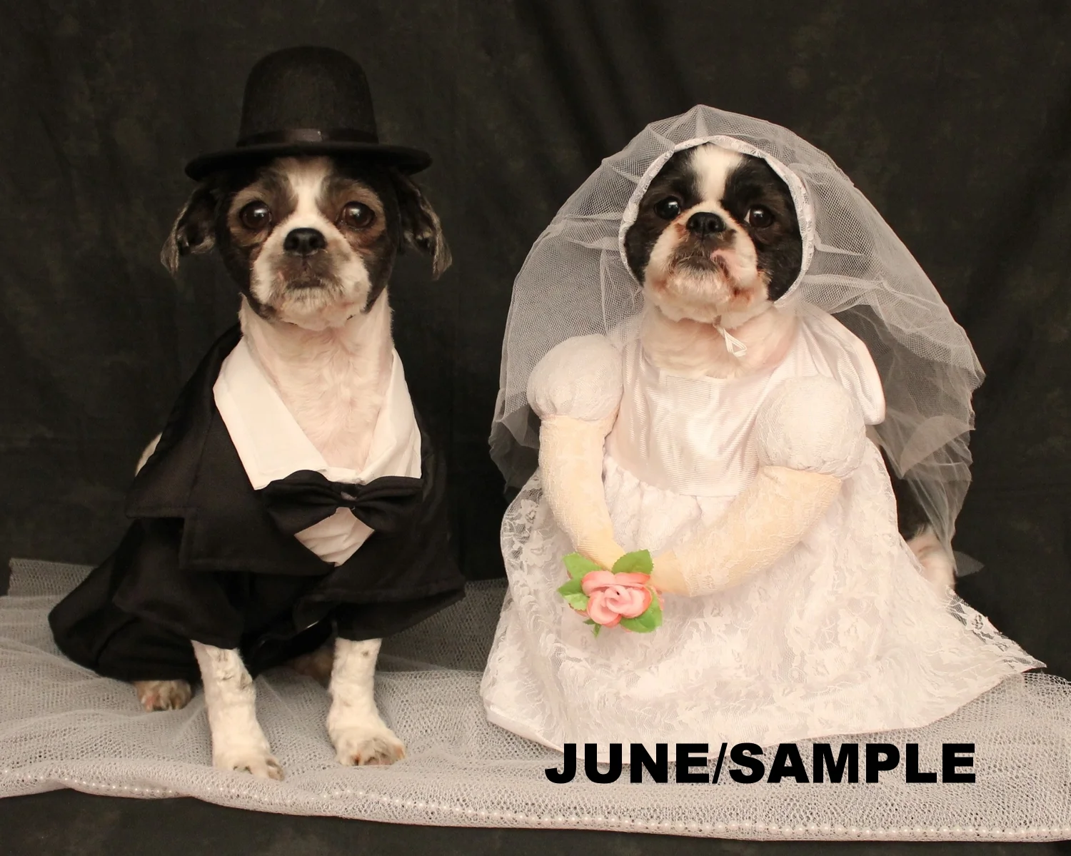 06 June Weddings.JPG