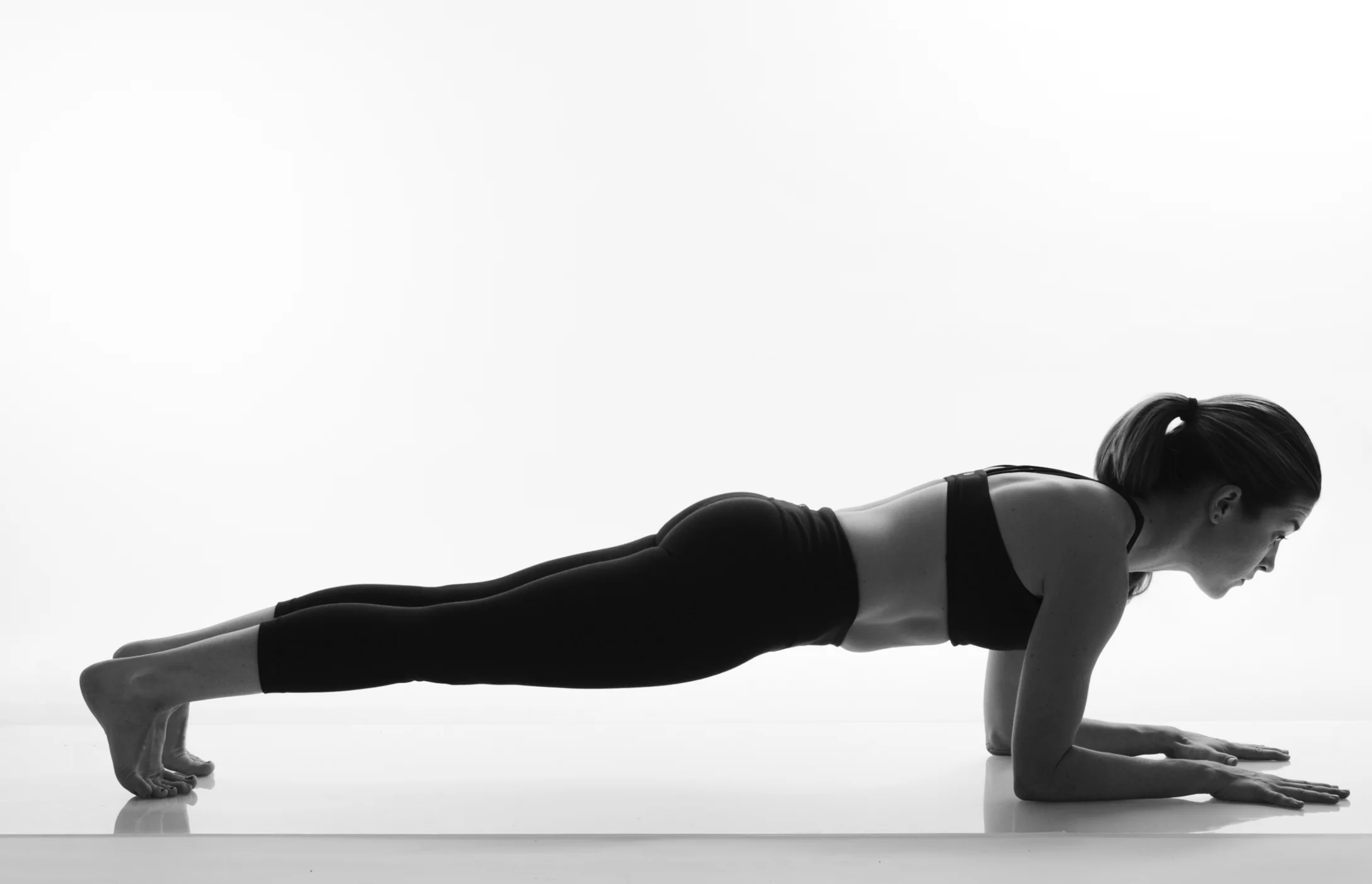 dolphin plank 2014.jpg