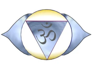 Yantra has 2 Lotus petals signifying the Ida and Pingala nadis meeting at the Ajna chakra.