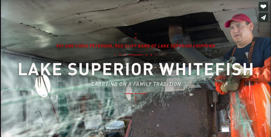 Lake Superior Whitefish ~ Pat and Chris Peterson - Red Cliff Band of Lake Superior Chippewa