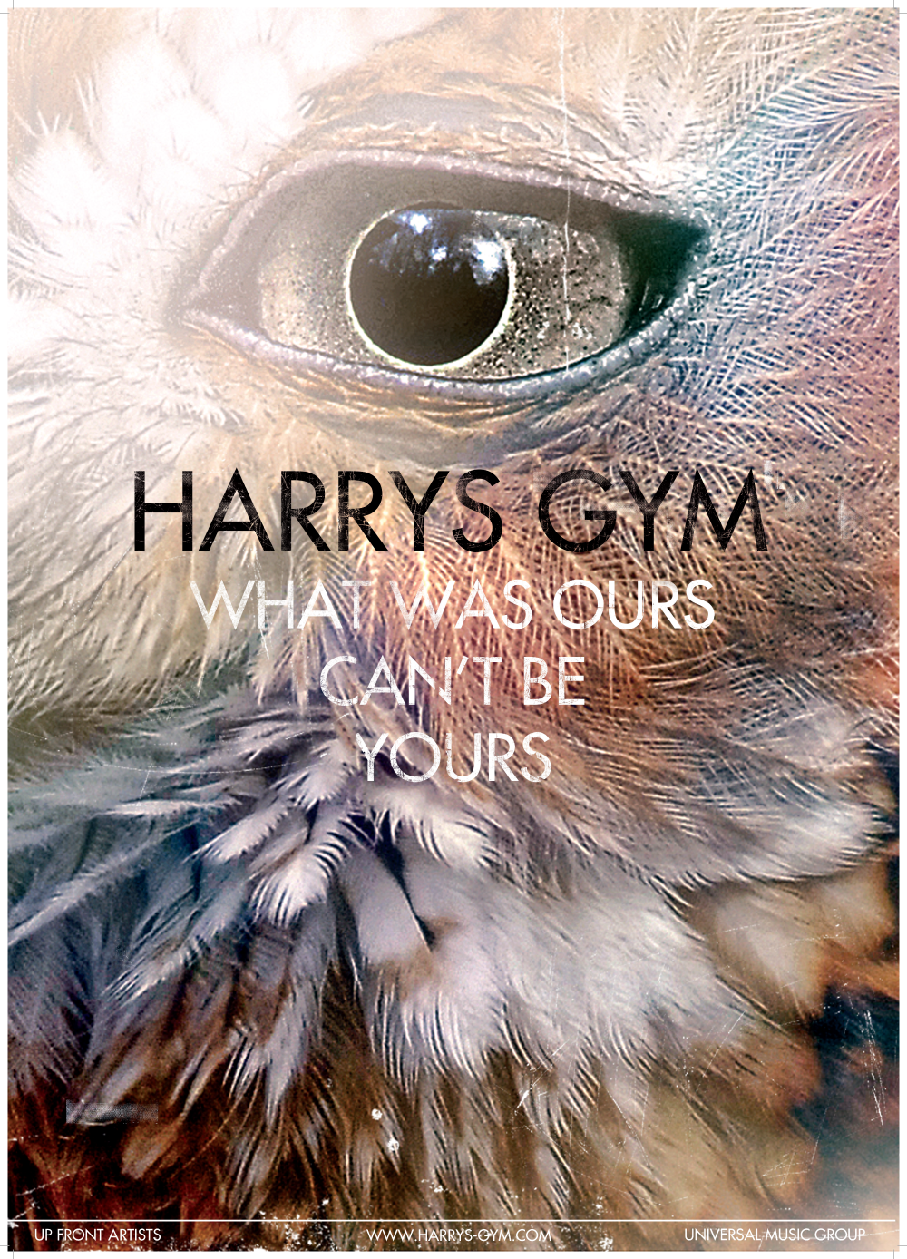 Tour poster for the following tour