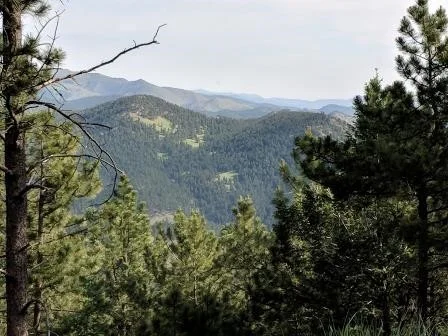 Mountains are Cool.jpg