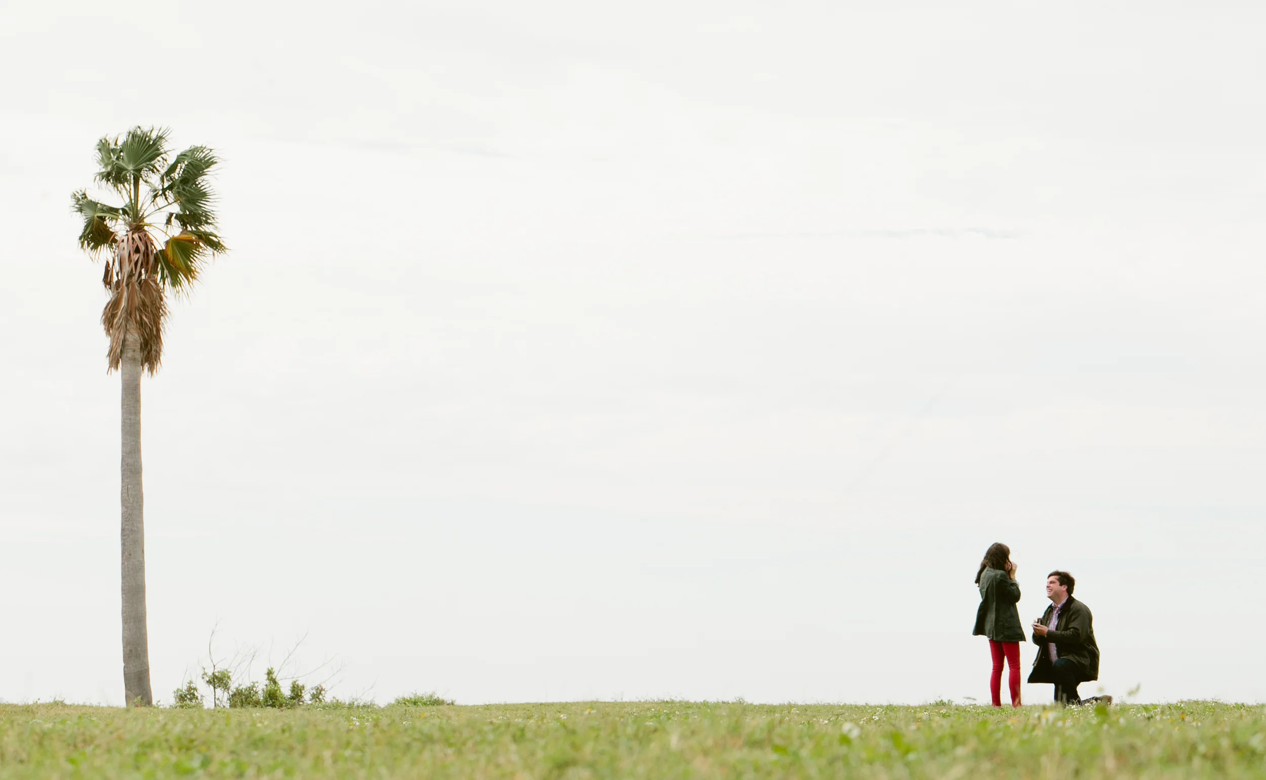 Tampa-Engagement-Photographer-Kathryn-McCrary-Photography-Proposal9.jpg