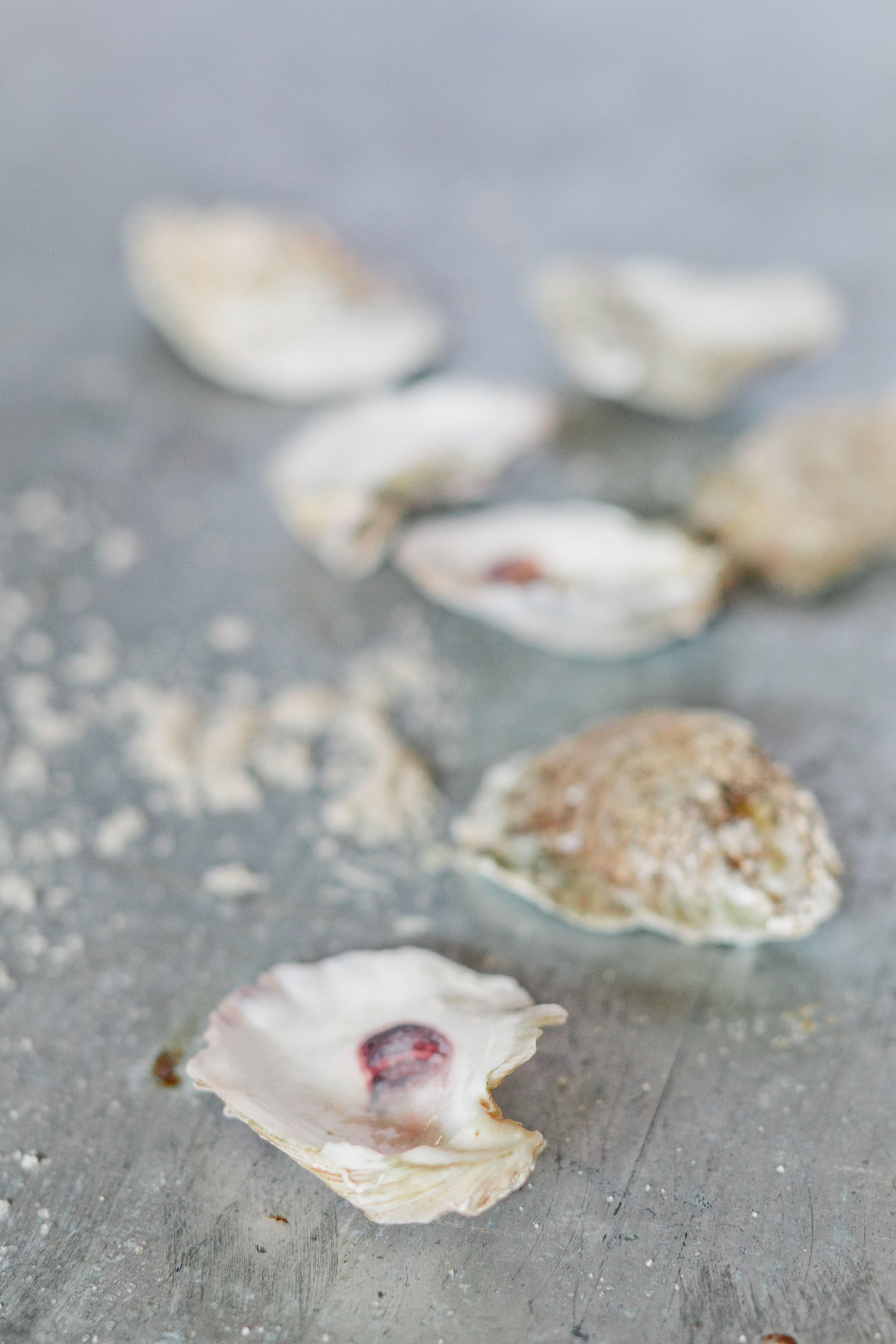 Atlanta-Product-Photographer-DIY-Kathryn-McCrary-Photography-Gold-Oyster-Shells-Craft3.jpg