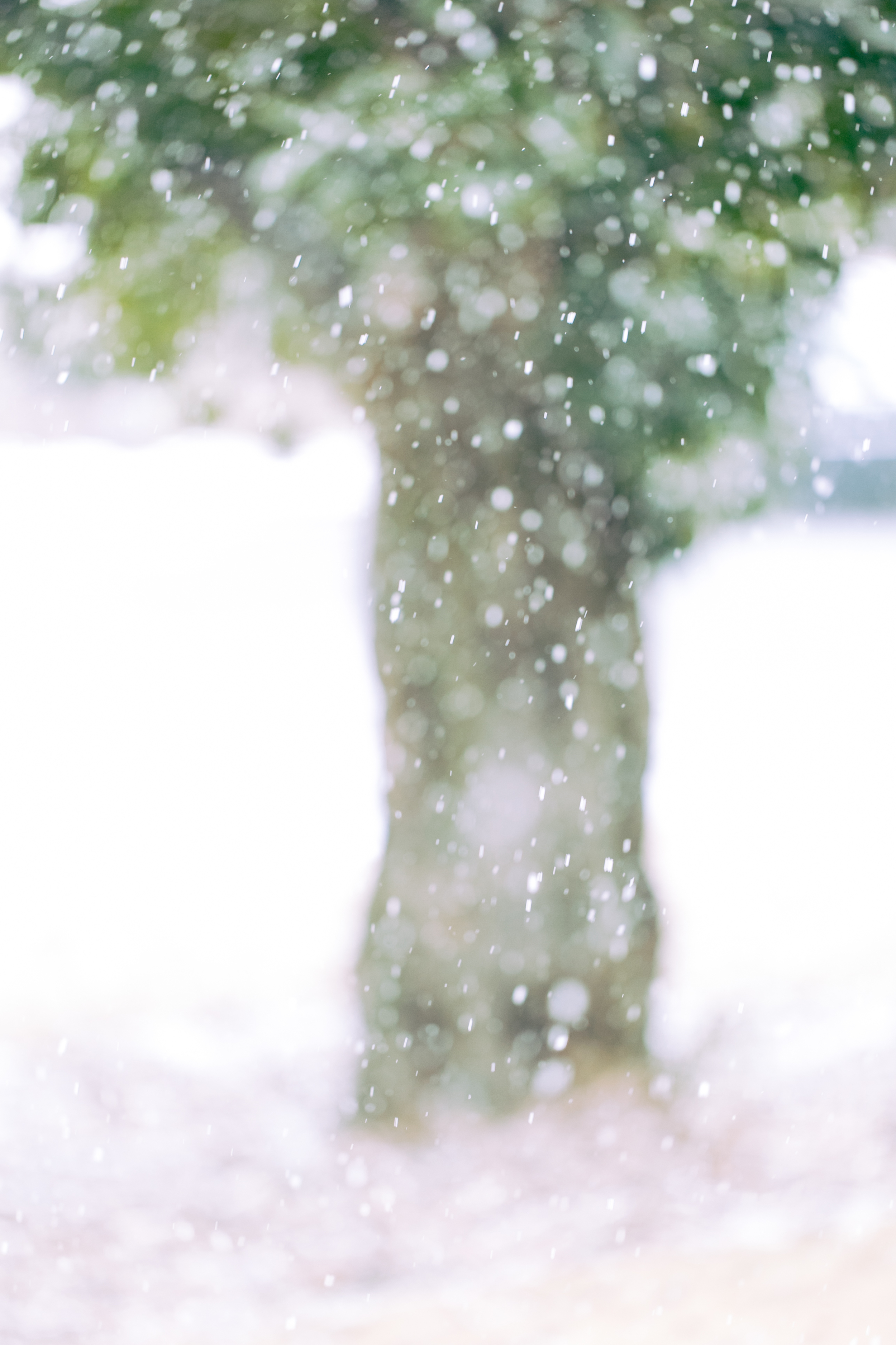 Atlanta-Lifestyle-Photographer-Kathryn-McCrary-Photography-Atlanta-Snow-2014-3.jpg