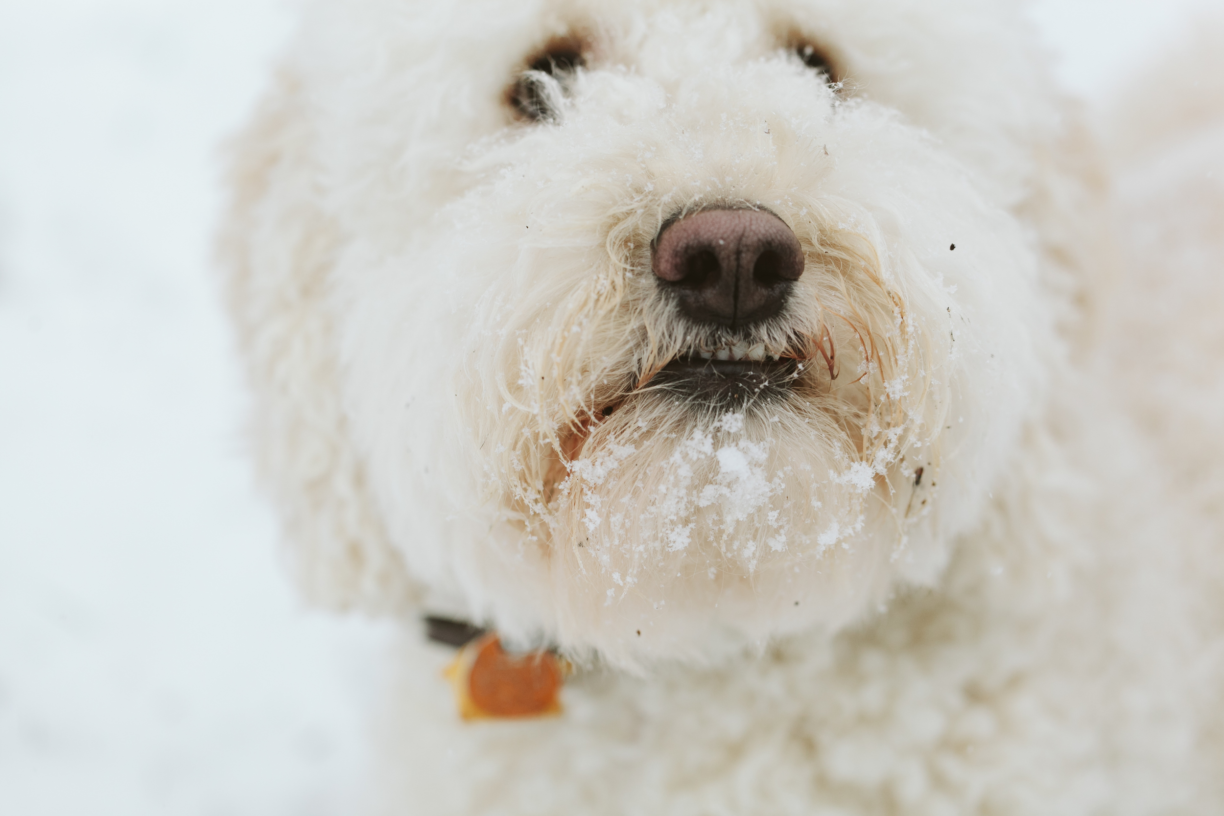 Atlanta-Lifestyle-Photographer-Kathryn-McCrary-Photography-Atlanta-Snow-2014-32.jpg