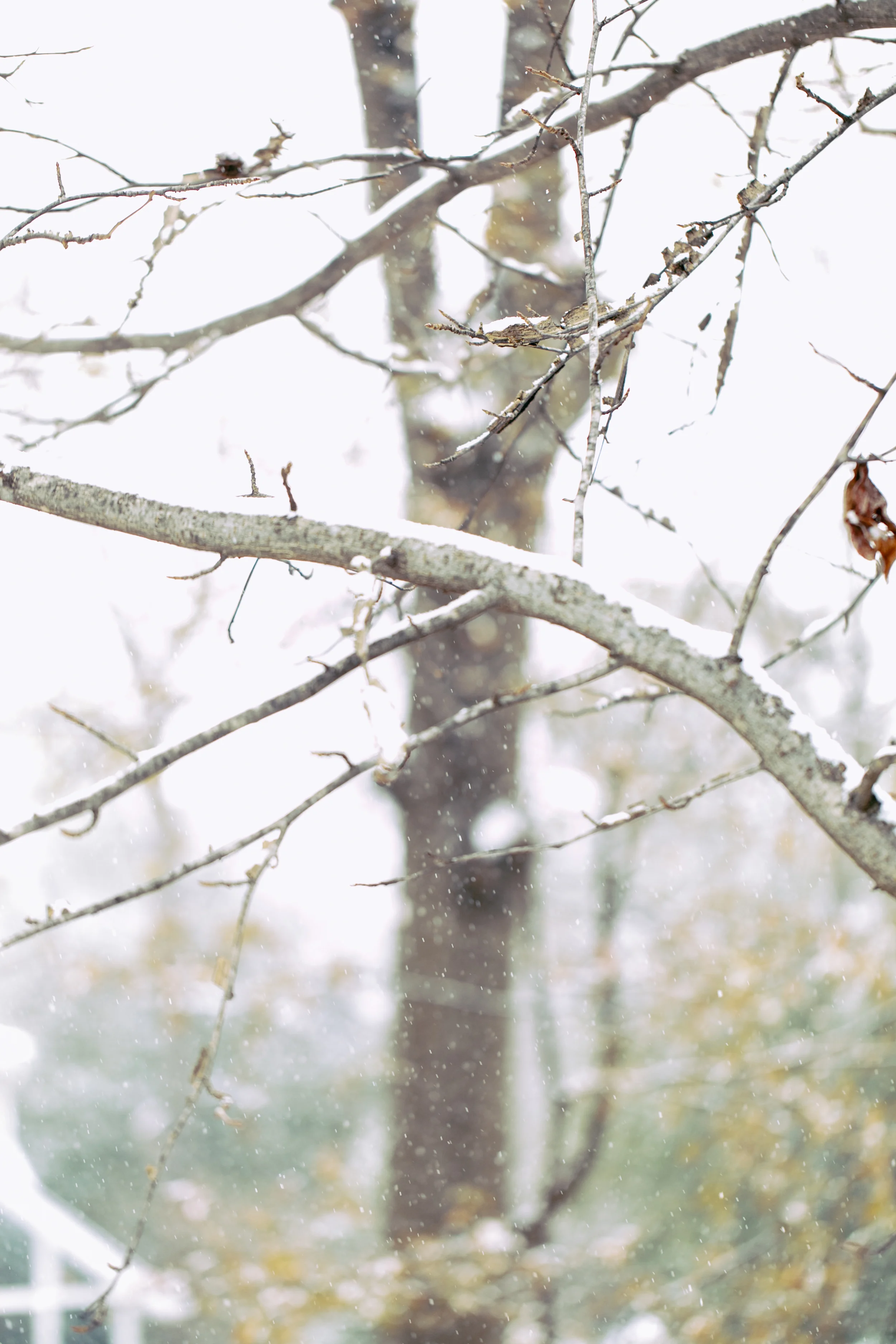 Atlanta-Lifestyle-Photographer-Kathryn-McCrary-Photography-Atlanta-Snow-2014-39.jpg