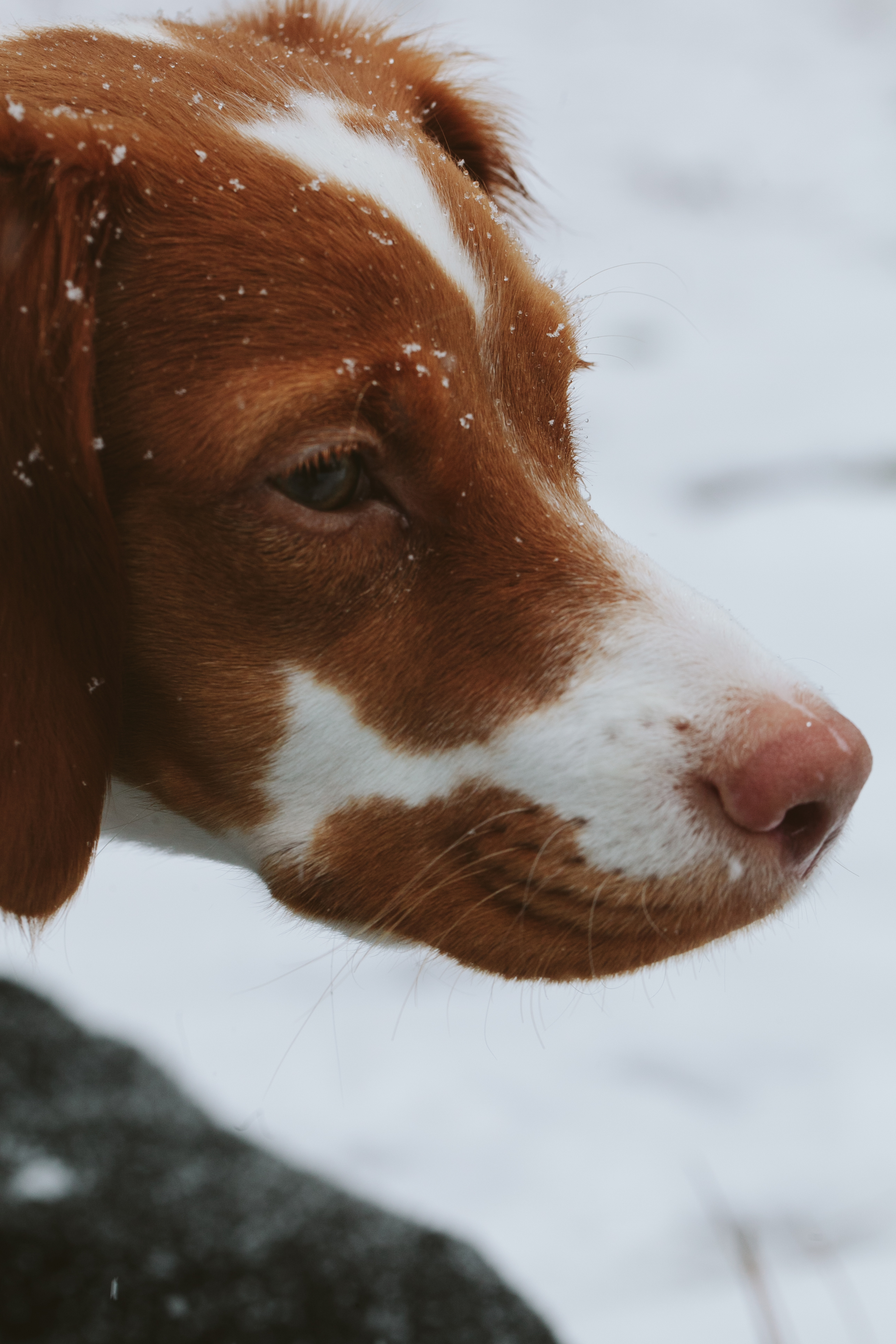 Atlanta-Lifestyle-Photographer-Kathryn-McCrary-Photography-Atlanta-Snow-2014-60.jpg