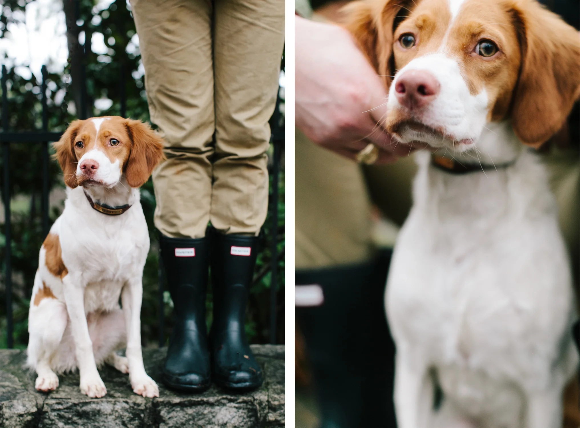 Kathryn-McCrary-Photography-Penny-Puppy-Rain-Hunter-Boots-4.jpg