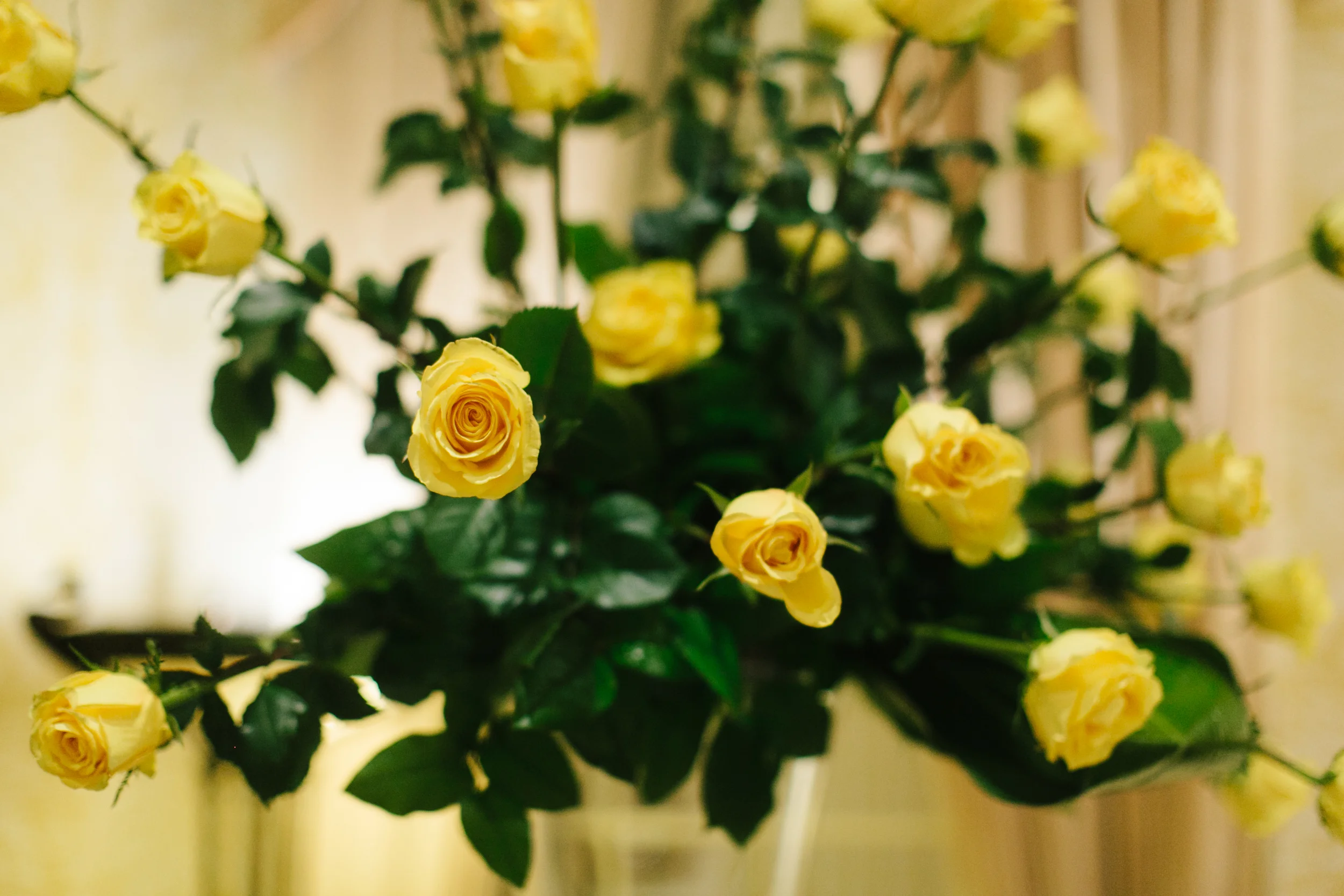Kathryn-McCrary-Photography-50th-Wedding-Anniversary-Party-63.jpg