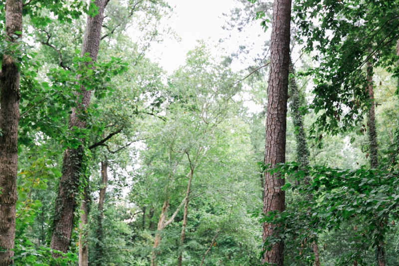 Kathryn McCrary Photography Atlanta Wedding Photographer Anna and Matt Swan House Proposal_0002.jpg