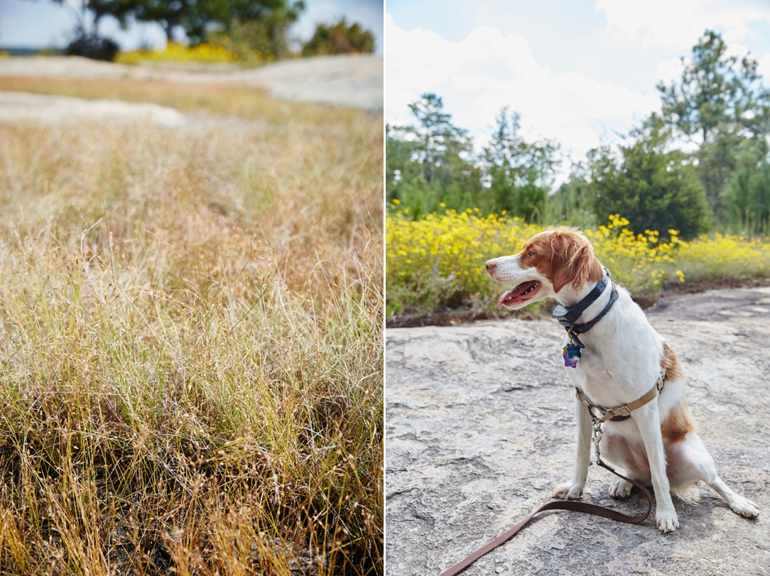 Atlanta Travel Photographer Arabia Mountain Kathryn McCrary Photography_0001.jpg