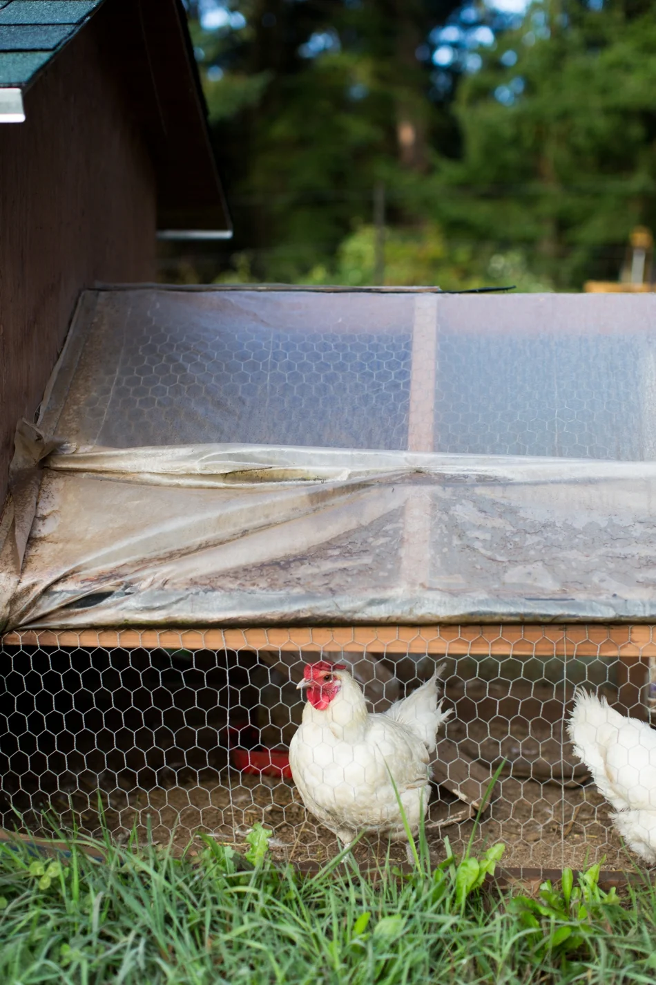 Atlanta Food + Lifestyle Photographer