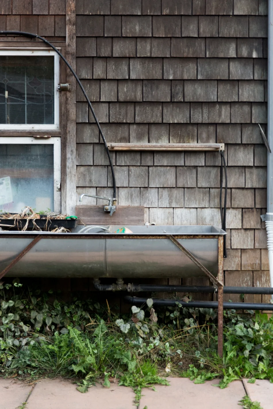 Atlanta+Editorial+Photographer+Nettles+Farm+Lummi+Island+Kathryn+McCrary+Photography_0010.jpg