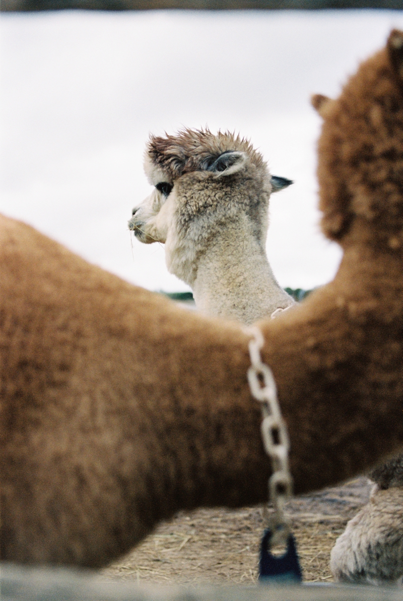 Atlanta Travel Photographer Martha's Vineyard ©Kathryn McCrary Photography_0029.jpg