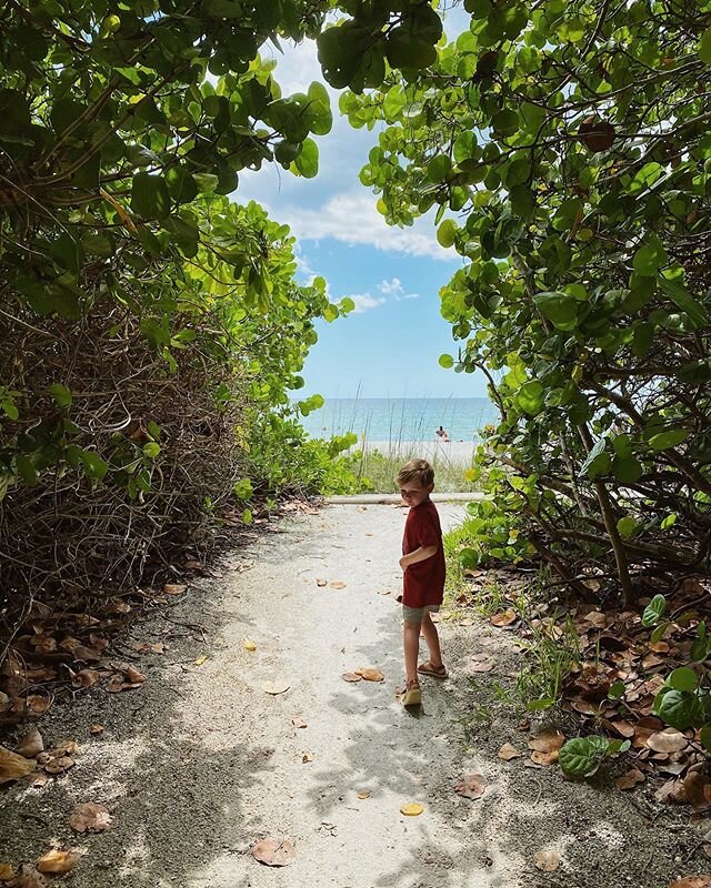 looking for lizards + dodging mosquitoes with my big boy 💙 #visitflorida